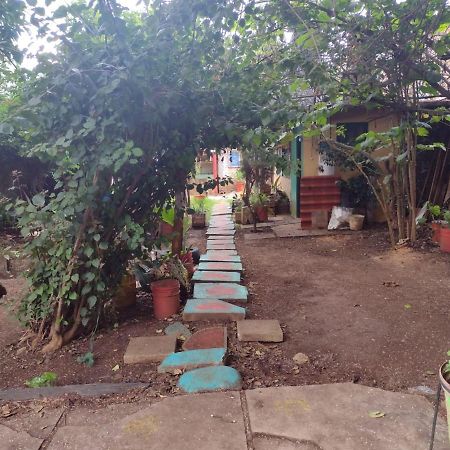 Casa Lothuz Spacio Cultural Y Disidente San Cristóbal de Las Casas エクステリア 写真
