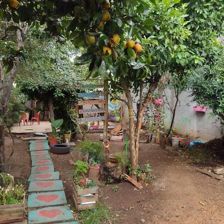 Casa Lothuz Spacio Cultural Y Disidente San Cristóbal de Las Casas エクステリア 写真