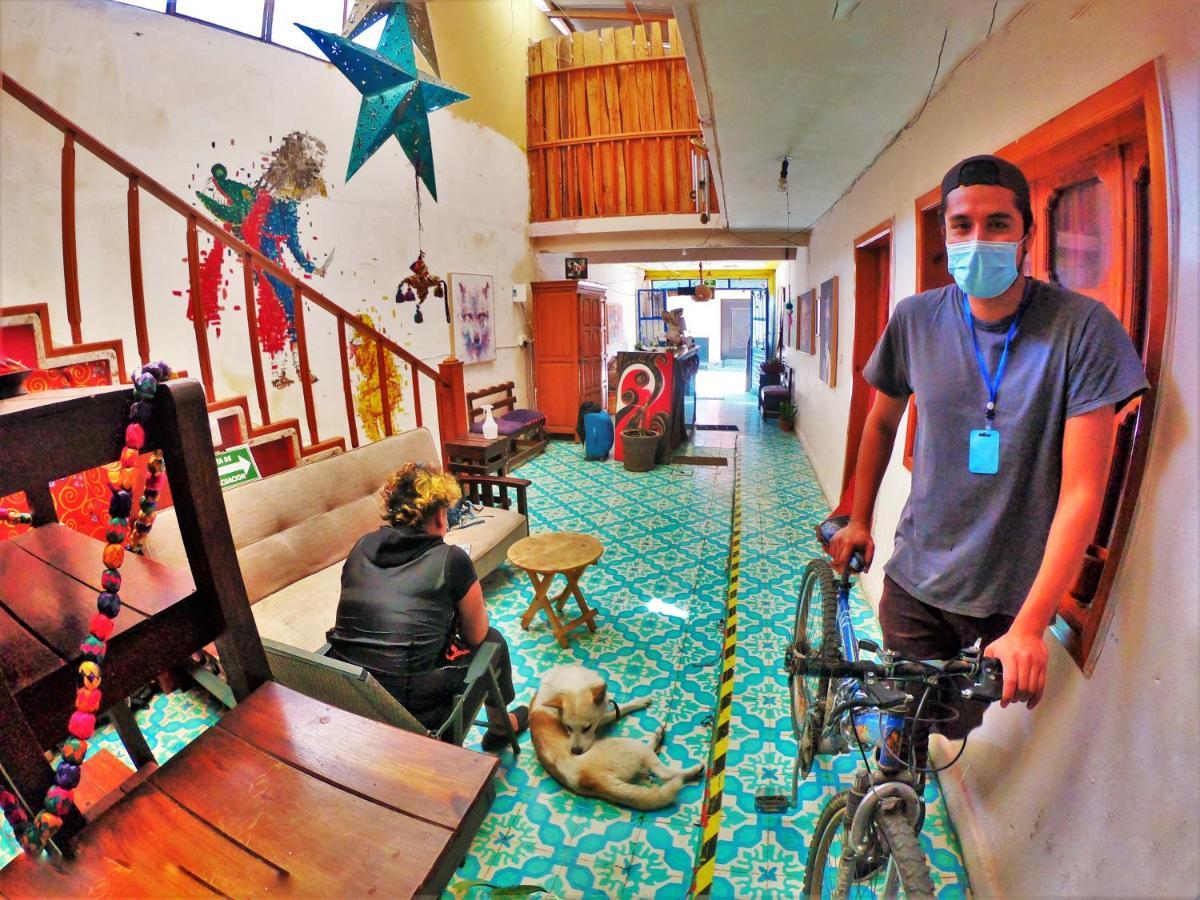 Casa Lothuz Spacio Cultural Y Disidente San Cristóbal de Las Casas エクステリア 写真