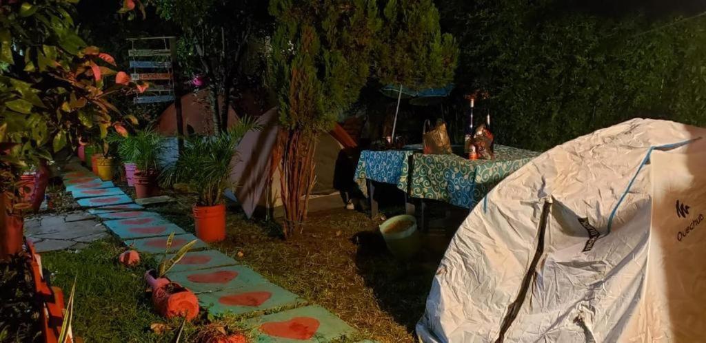 Casa Lothuz Spacio Cultural Y Disidente San Cristóbal de Las Casas エクステリア 写真