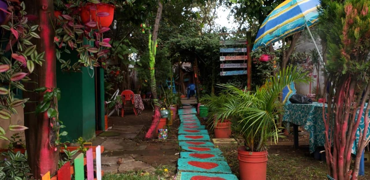 Casa Lothuz Spacio Cultural Y Disidente San Cristóbal de Las Casas エクステリア 写真