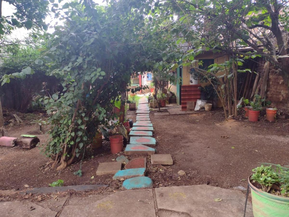 Casa Lothuz Spacio Cultural Y Disidente San Cristóbal de Las Casas エクステリア 写真
