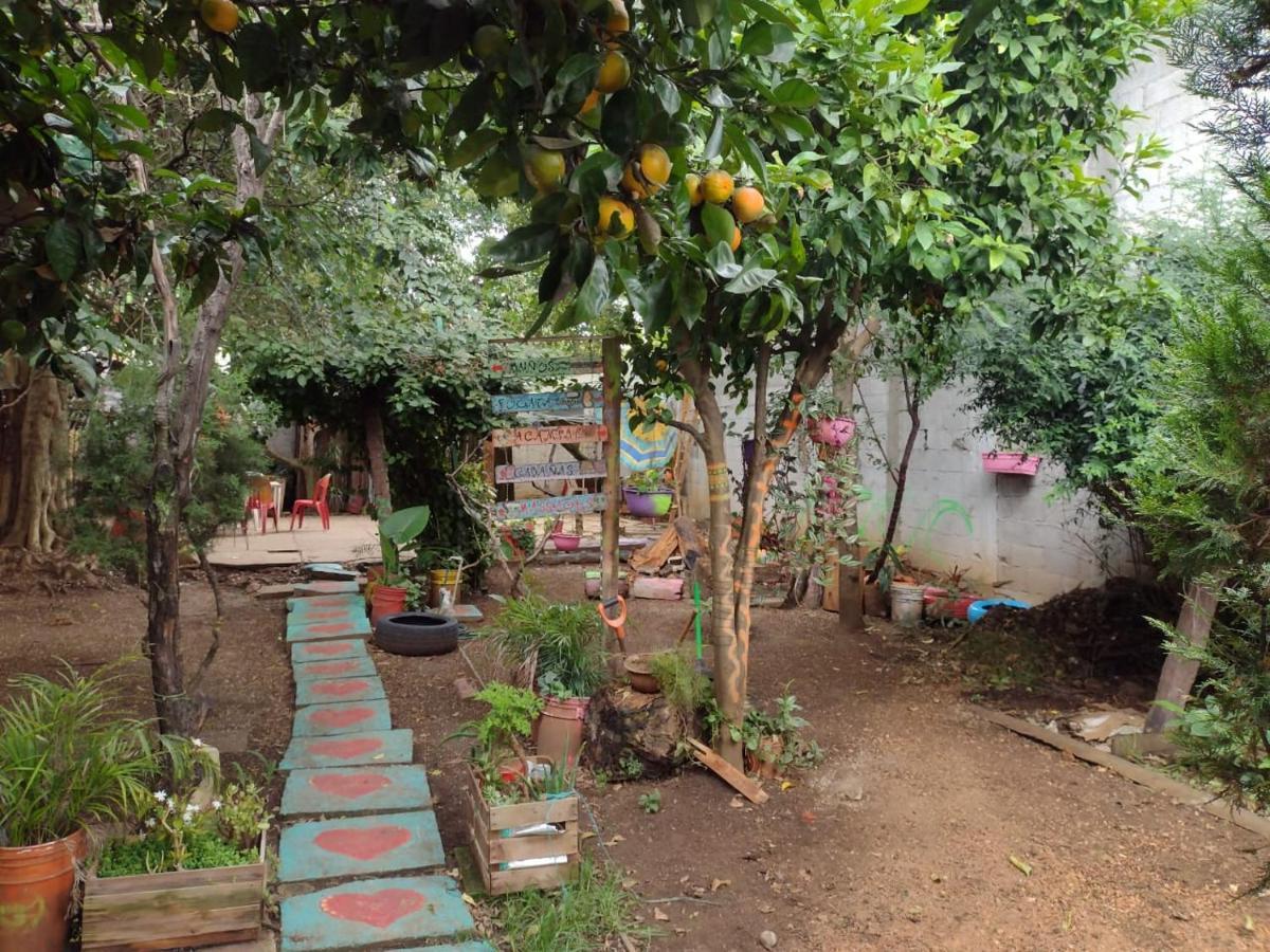 Casa Lothuz Spacio Cultural Y Disidente San Cristóbal de Las Casas エクステリア 写真